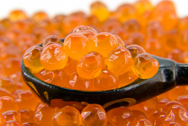 Similar image 742886