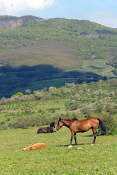 Similar image 742958