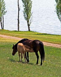 Similar image 742959