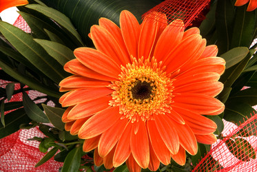 Similar image 742960