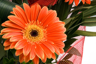 Similar image 742961