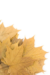 Similar image 743008