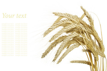 Similar image 743025