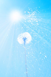 Similar image 743058