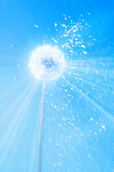 Similar image 743061