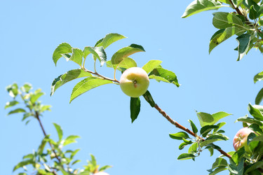 Similar image 743088