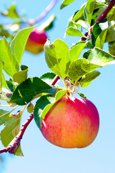 Similar image 743089