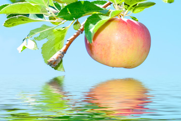 Similar image 743092