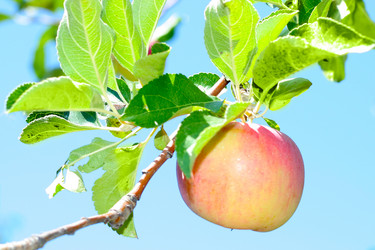 Similar image 743095