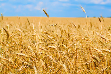 Similar image 743118