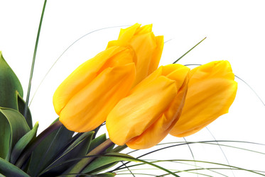 Similar image 743181