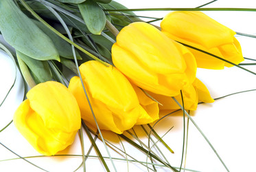 Similar image 743182