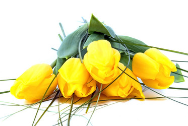 Similar image 743183