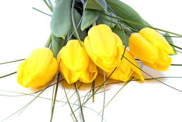 Similar image 743184