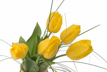 Similar image 743185