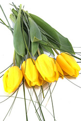 Similar image 743188