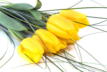 Similar image 743189