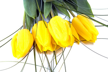 Similar image 743208