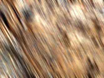 Similar image 743241