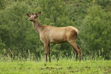 Similar image 743425