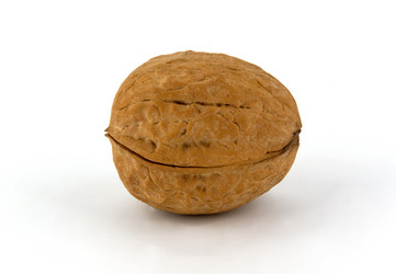 Similar image 743482