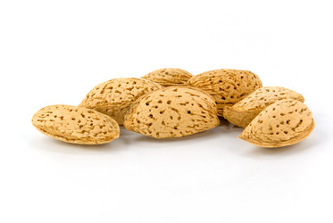 Similar image 743493