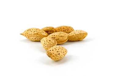 Similar image 743496