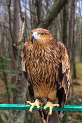 Similar image 743501