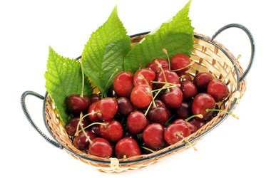 Similar image 743545