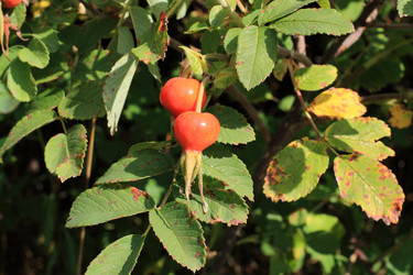 Similar image 743624