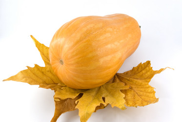 Similar image 743826