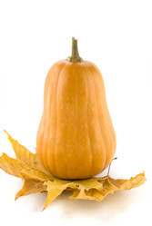 Similar image 743827