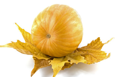 Similar image 743828