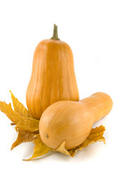 Similar image 743834