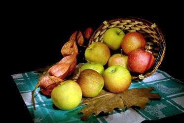 Similar image 743857