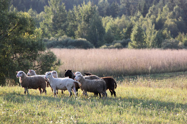 Similar image 743885