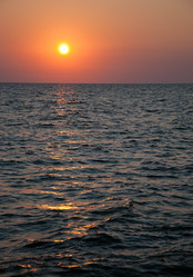 Similar image 743889