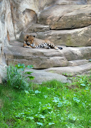 Similar image 743897