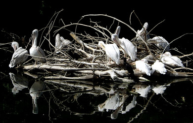 Similar image 743903