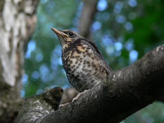 Similar image 743948