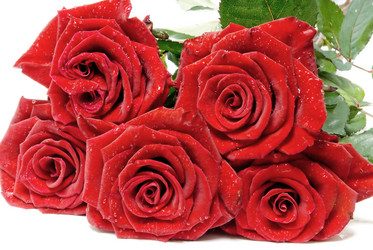 Similar image 743957