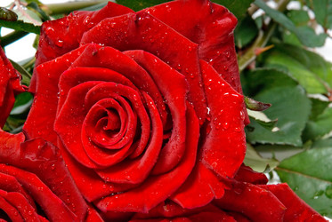 Similar image 743960