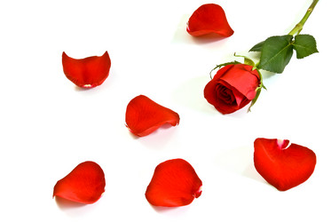 Similar image 743966