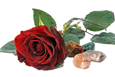 Similar image 743973