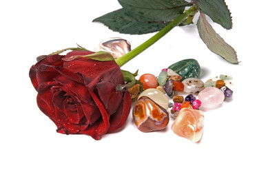 Similar image 743974