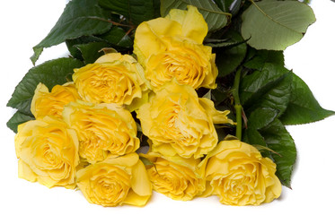 Similar image 743977