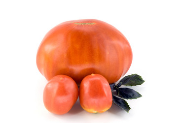 Similar image 744020