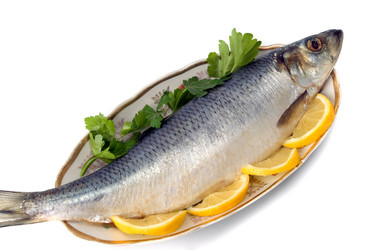 Similar image 744040