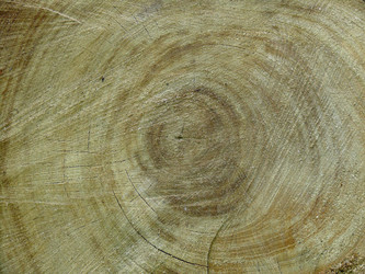 Similar image 744041