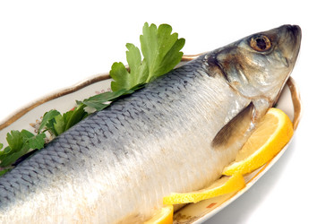 Similar image 744042